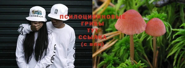 MDMA Осинники