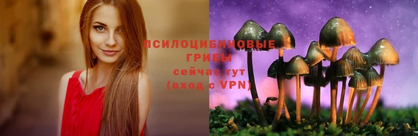 эйфоретик Армянск