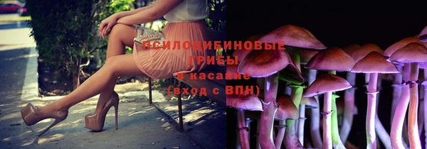 эйфоретик Армянск