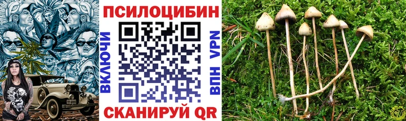 наркота  Пугачёв  Галлюциногенные грибы мицелий 